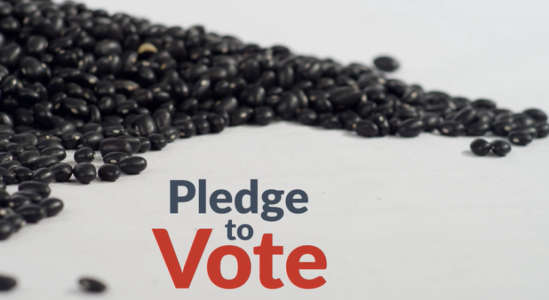 Pledge to Vote