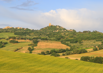 A City on a Hill