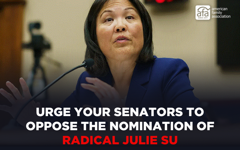 Urge Your Senators to Oppose the Nomination of Radical Julie Su