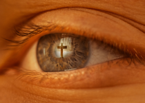 The Cross and Human History
