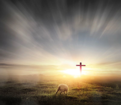 A Careful Look at 2 Chronicles 7:14