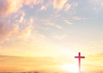 Co-workers for the kingdom