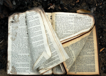 Share Those Little Verses