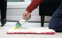 Urge Horsepower Duck To Cancel Its Inappropriate Ad