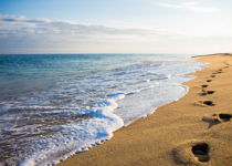 Accessing the Vast Ocean of God's Grace