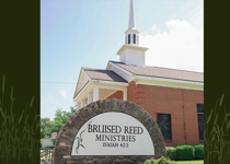Bruised Reed