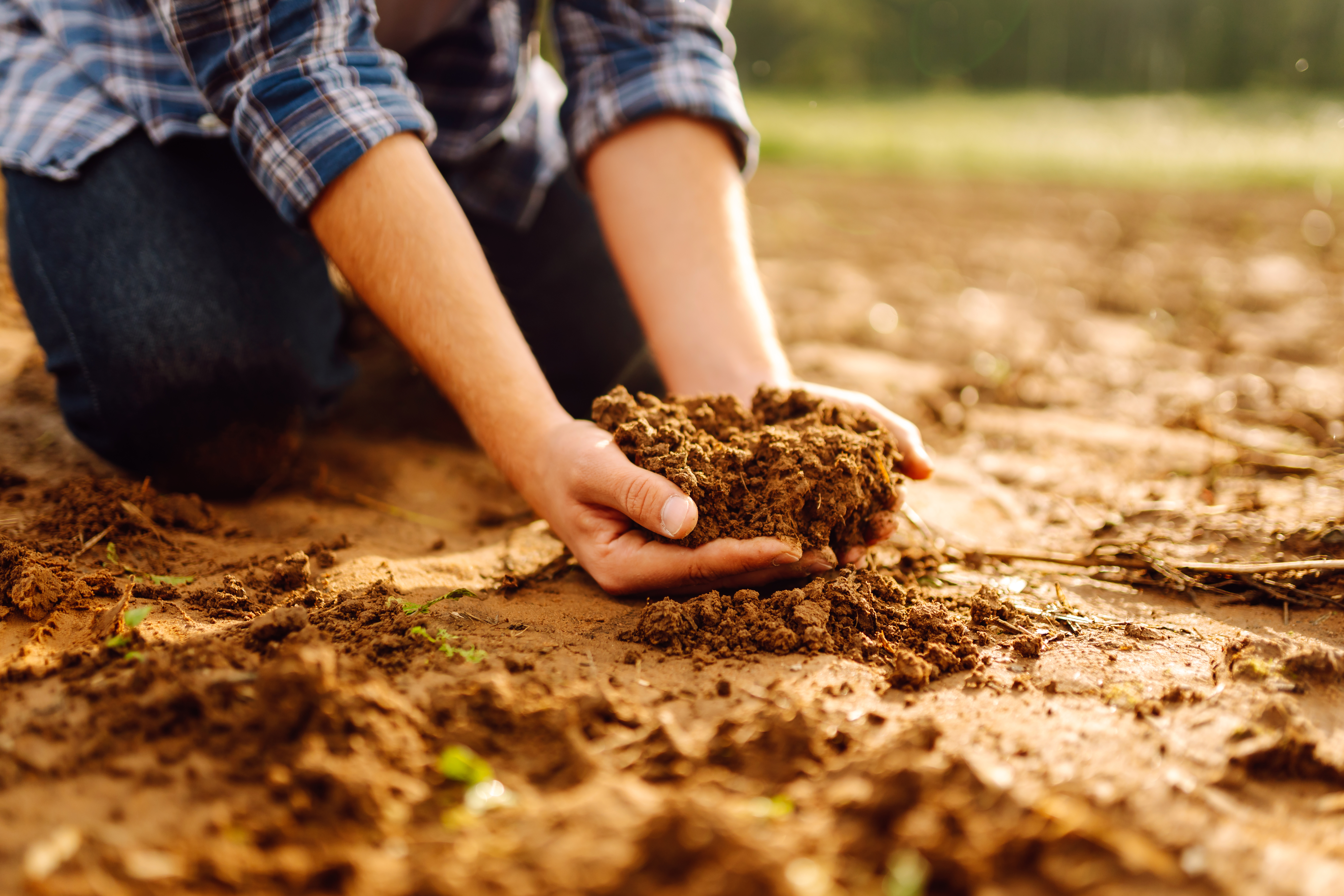 A Message in the Dirt