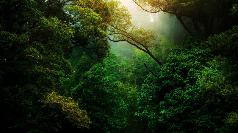 Radical Biblical Humility