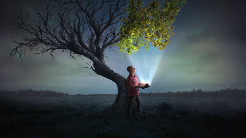 'I Have Overcome the World'