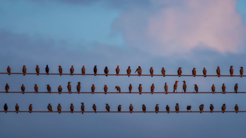 Mediocrity: Be Anything Other Than This!