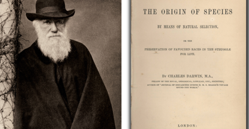 Are You Imprisoned by Darwin?